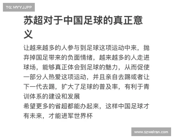 深入解析建业俱乐部的角色定位与社会属性及其在中国足球发展中的意义
