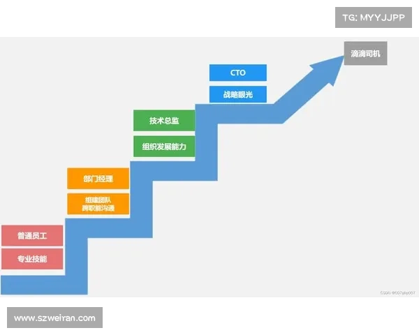 布克职业生涯数据分析与表现总结 论其成长轨迹与未来潜力